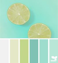 Citrus Hues | Design Seeds