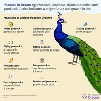 Peacock in dream has diverse symbolism linked to them. The appearance of this bird in dreams is also a potent symbol with strong meanings attached to it. #peacockindreams #peacockdreams #meaningofpeacockdreams #peacockdreamsmeaning #peacock #dreammeaning #dreaming #dreamsymbolism #thepleasantdream #dreaming #dreams