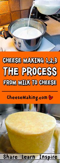 With this great beginners guide to cheese making you'll learn about the whole process of making cheese at home. | Cheesemaking.com