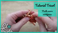 Tutoriel Tricot - Le point envers à la norvégienne