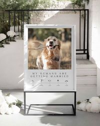 Incorporate your furry friend into your wedding celebration with a personalized "My Humans Are Getting Married" sign. This adorable sign features a photo of your beloved pet, alongside a timeline illustrated with charming icons, making it a delightful way to announce your upcoming nuptials. The photo adds a touch of personality, while the timeline icons clearly communicate the date and location of your wedding ceremony. "My Humans Are Getting Married" signs are available in a variety of sizes an