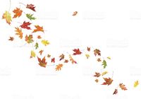 Autumn Leaves Blowing In The Wind Stock ...