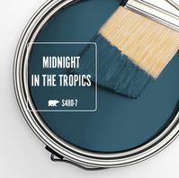 BEHR Midnight in the Tropics