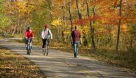 Caldwell Woods - Forest Preserves of Cook County