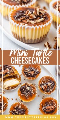 These mini turtle cheesecakes are the perfect blend of chocolate, caramel and nuts combined with creamy cheesecake! Mini cheesecakes make the best grab-and-go party dessert!