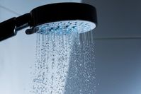 Showerhead Slime Teems with Bacteria