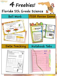 Hold students accountable with student led data tracking. This free set covers Florida 5th grade science standards. Students track their progress by rating ”I can…” statements and grades. Students have a space to reflect on their effort and understanding of each Florida science standard. Try it for free today!!