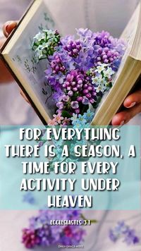 For everything there is a season, a time for every activity under heaven - Ecclesiastes 3:1