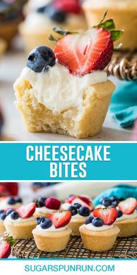 My easy cheesecake bites consist of a simple, no-bake cheesecake nestled in crisp sugar cookie cups. They take just 1 hour to make completely from scratch. Recipe includes a how-to video!