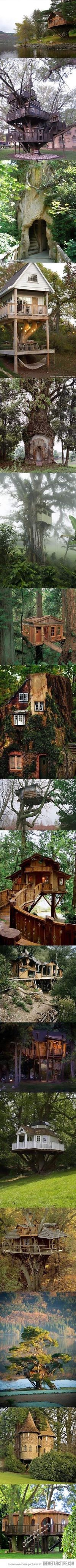 adult treehouses