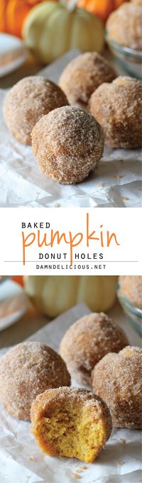 Pumpkin Donut Holes - Irresistible pumpkin mini muffins smothered in cinnamon sugar goodness! So good, you'll want to double or triple the recipe!