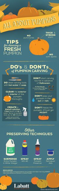 Want to preserve your beautifully carved pumpkin? Tips on how to pick one to preserving them #pumpkin #carving #labattfood