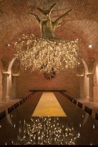 Tasting room at a California winery complete with grapevine root chandelier [1440x2160]