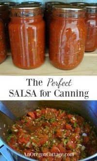 Learn how to make an easy and flavorful salsa for canning that’s safe, uses all-natural ingredients, and is thicker than typical canned salsas. It’s our family’s favorite!