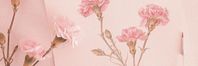 #➤﹒pink﹒white﹒flower﹒header﹒aesthetic | join xainx for more headers!