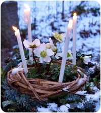 Imbolc Altar in the snow!