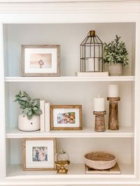 Bookcase Styling - Essential Pieces for a New Look — Jenny Reimold