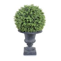 11" Boxwood Ball in Urn