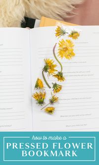 This is such a fun and easy DIY to do with kids at home! Learn how to make bookmarks with pressed flowers. You probably have all the supplies you'll need. These DIY bookmarks are a fun project for homeschool or stay at home parents. Add it to your craft ideas or activities for kids.