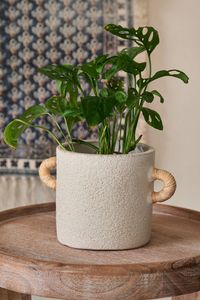 Buy French Connection Natural Small Terracotta Plant Pot from the Next UK online shop