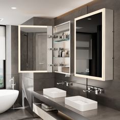 a modern bathroom with two sinks and mirrors