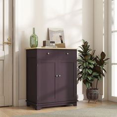 a purple cabinet sitting next to a potted plant in a room with white walls