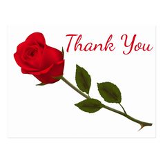 a red rose with the words thank you