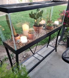 a glass case filled with plants and candles