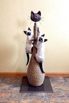 two siamese cats playing on top of a scratching post