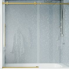 a white shower with gold trim around the glass and metal bars on the door frame