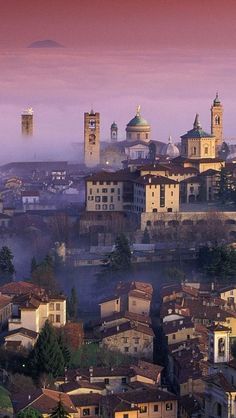 an aerial view of a city with tall buildings and trees in the foreground, surrounded by fog