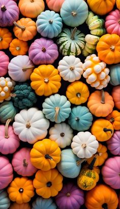 many different colored pumpkins are arranged in the shape of a wallpaper or background