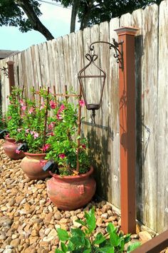 several potted plants in front of a wooden fence with flowers growing on it and hanging from the side