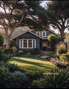 a blue house surrounded by trees and plants on a sunny day with the sun shining in