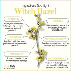 Ever wondered what witch hazel can do for your skin? 🌿✨

It tightens pores, reduces oil, and soothes irritation, making it perfect for oily or acne-prone skin. Plus, its anti-inflammatory and antioxidant properties protect and heal, while fighting bacteria to prevent breakouts.

Ready to transform your skincare routine? Add witch hazel for clearer, smoother, and more balanced skin. Follow for more skincare tips. #naturalbeautyproducts What Is Witch Hazel Good For, Witch Hazel Skin Benefits, Herbs For Face Care, Thyme For Acne, Skincare Witchcraft, Witchhazel Skincare, Witch Hazel Uses Skin Care, Witch Remedies, Witch Hazel For Acne