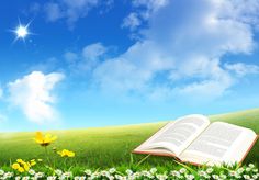 an open book sitting on top of a lush green field next to yellow and white flowers