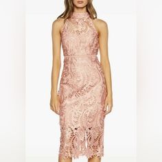 Brand New Stunning Dress Idea For A Wedding Guest, Cocktail Party Or Date Night Approximately- 16.5” Pit To Pit 37.5” Long Lined Camille Dress, Embroidered Lace Dress, Dress Idea, Bardot Dress, Womens Cocktail Dresses, Lace Sheath Dress, Cocktail Dress Lace, Tennis Dress, Size 6 Dress