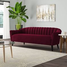 a living room filled with furniture and a potted plant