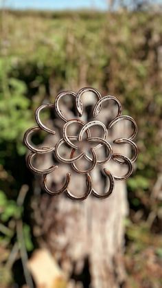 a metal object hanging from the side of a tree