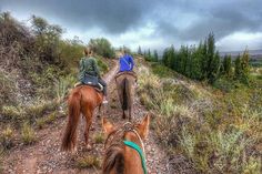 two people are riding horses on a trail