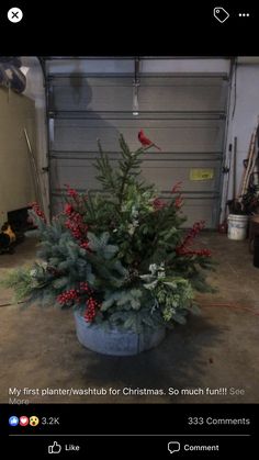 a potted christmas tree with red berries and green leaves in the middle of a garage