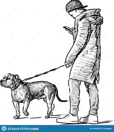 a man walking his dog on a leash stock photo image 379782