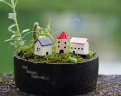 small houses are placed on top of a moss covered potted plant in front of a pond