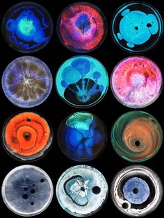 an array of different colored objects in glass bowls on a black background with water droplets