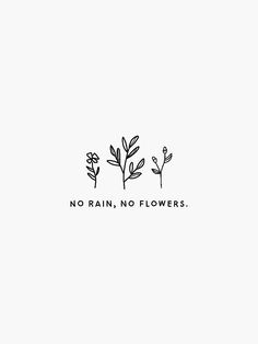 the words no rain, no flowers written in black ink