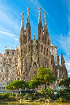 the large cathedral has many spires on it's sides and is surrounded by trees