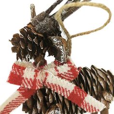 an ornament made out of pine cones and twine