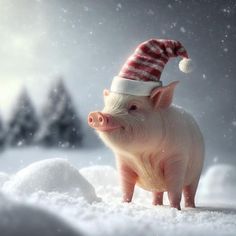 a pig wearing a santa hat in the snow