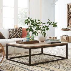 a living room filled with furniture and a plant on top of a wooden coffee table