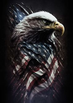 an eagle with the american flag painted on it's chest and wings, standing in front of a dark background